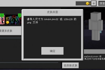 为什么导入皮肤显示这个